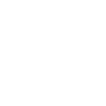 Logo Footer